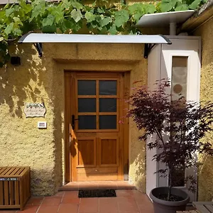 La Casina Di Mezzo - Tiny House Camaiore